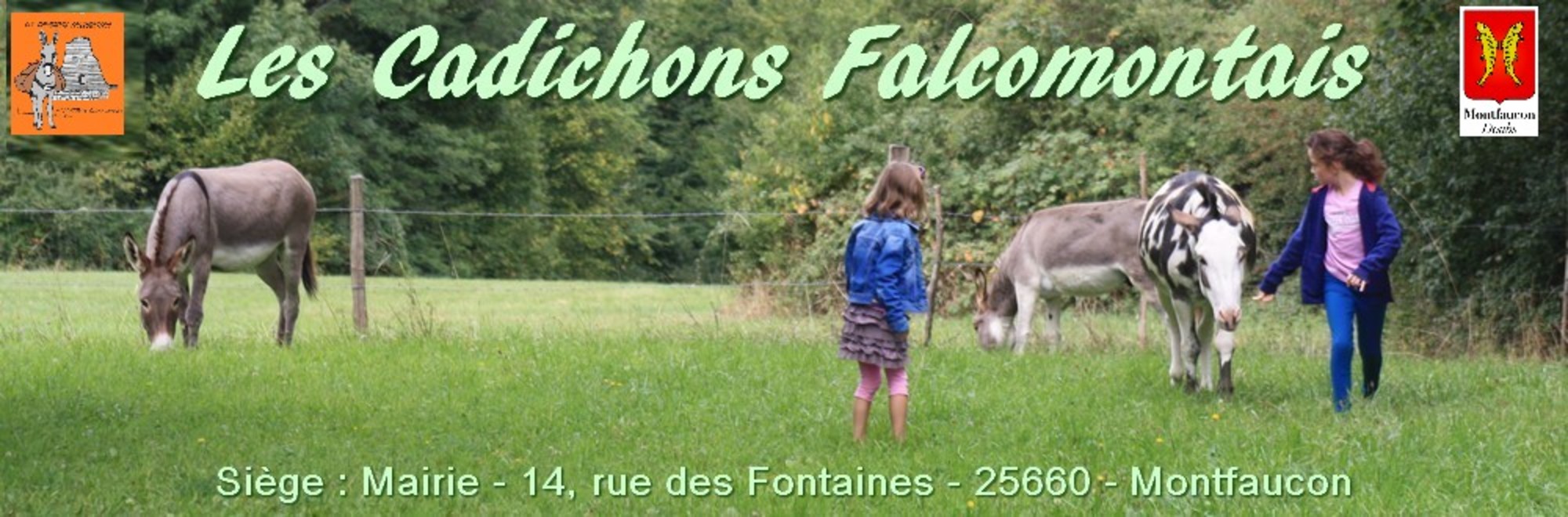 Les Cadichons Falcomontais